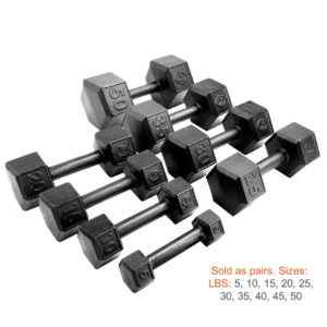 Goldens' Cast Iron Dumbbells